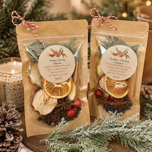 May include: Two kraft paper pouches filled with dried orange slices, cinnamon sticks, star anise, cranberries, and pine needles. Each pouch features a round label with instructions: Add all ingredients to a pot, add 2-3 cups of water, simmer on low, add water as needed, enjoy!