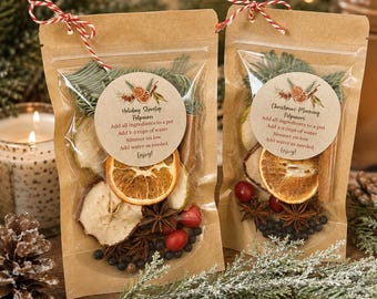 May include: Two kraft paper pouches filled with dried orange slices, cinnamon sticks, star anise, cranberries, and pine needles. Each pouch features a round label with instructions: Add all ingredients to a pot, add 2-3 cups of water, simmer on low, add water as needed, enjoy!