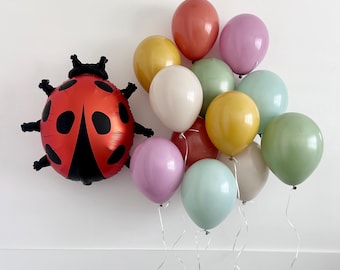 Ladybug Balloon Boquet~Our Little Lovebug~Love Bug Party Decor~Ladybug Party~Baby Shower