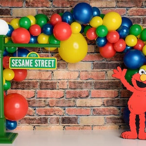 Sesame Street Balloon Garland DIY Kit~Rainbow Balloon Garland~Balloon Arch~Sesame Street Birthday Decorations~Elmo Birthday Decorations