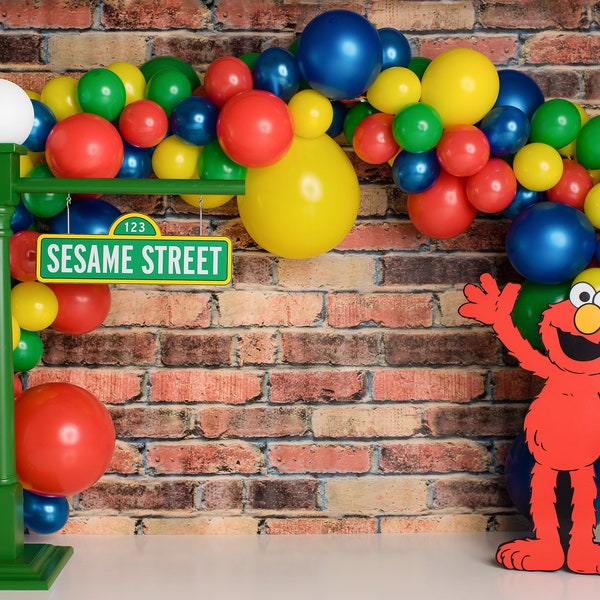 Sesame Street Balloon Garland DIY Kit~Rainbow Balloon Garland~Balloon Arch~Sesame Street Birthday Decorations~Elmo Birthday Decorations