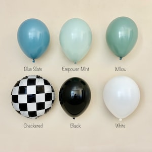 Pu&ograve; includere: Assortimento di palloncini in vari colori, tra cui blu ardesia, menta energizzante, salice, a scacchi, nero e bianco.