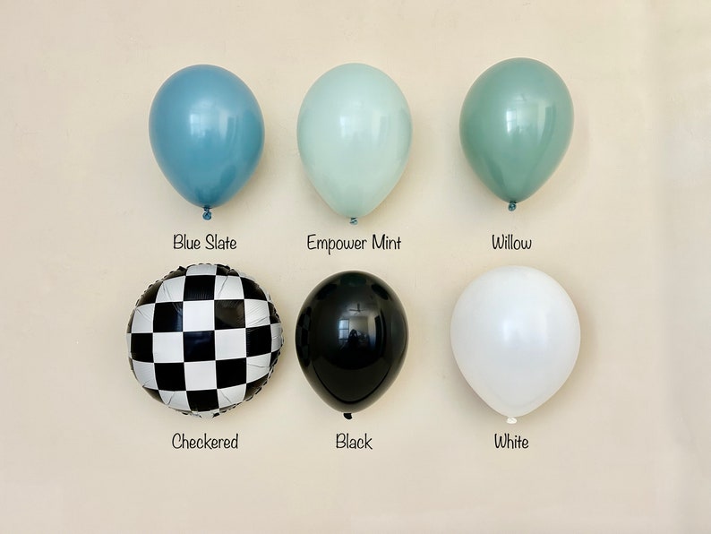 Pu&ograve; includere: Assortimento di palloncini in vari colori, tra cui blu ardesia, menta energizzante, salice, a scacchi, nero e bianco.