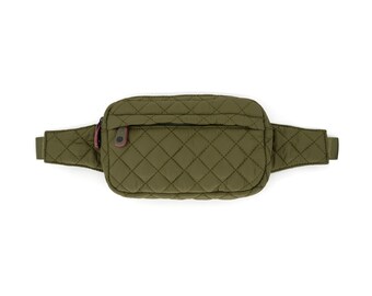 designer inspired fanny pack