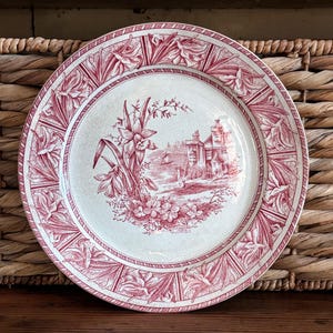Antique Aesthetic Movement Transferware Red / Pink Daffodil Dinner plate 9.5&quot; ~ W.H. Grindley Tunstall ~ Circa 1890&#39;s English Earthenware
