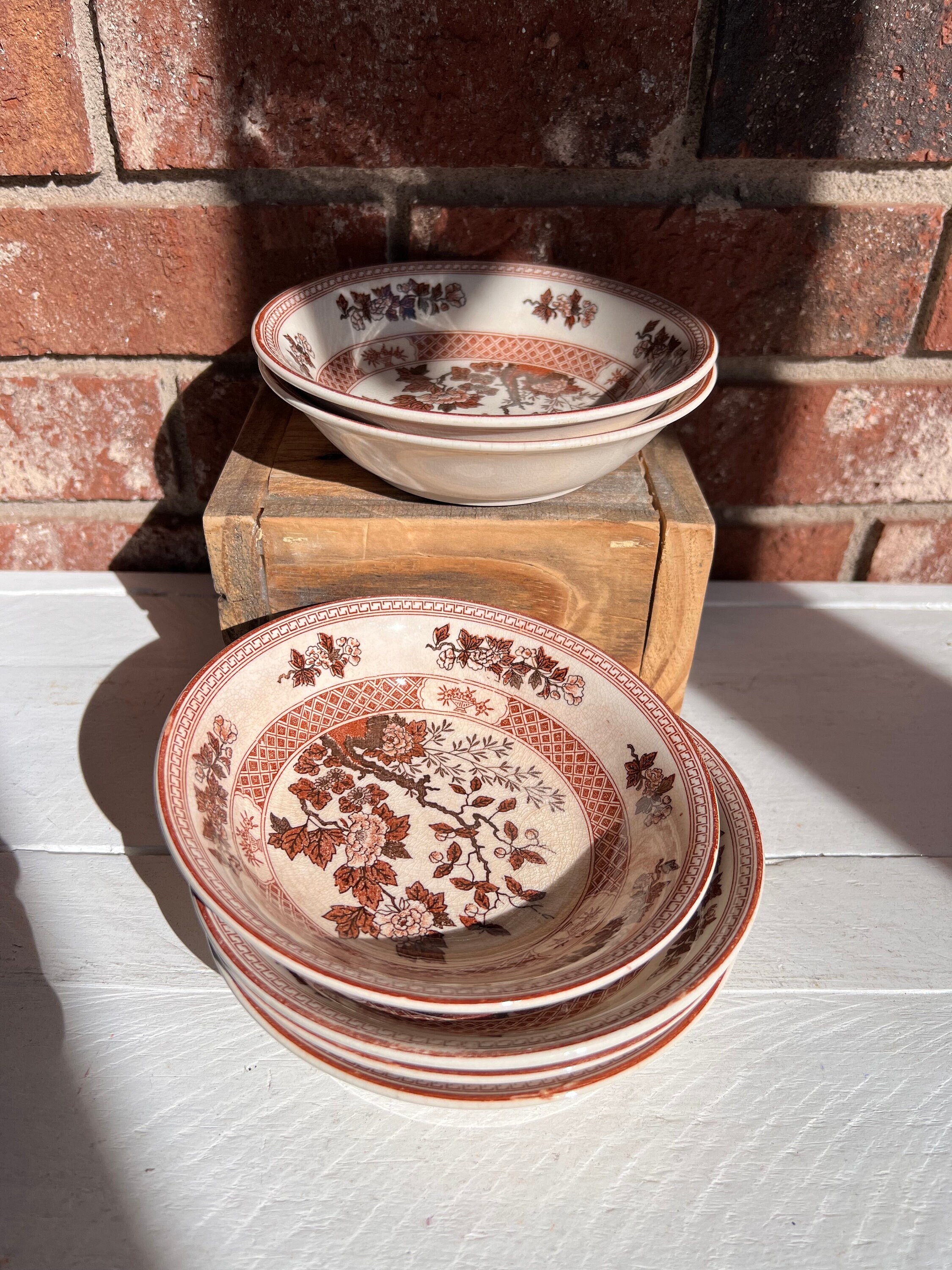 Nasco Indian Tree - Etsy Nasco Indian Tree - Etsy