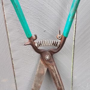 May include: A pair of vintage grass shears featuring weathered metal blades and bright green handles. A central metal coil spring connects the two handles, which are secured by a central bolt. The metal blade is stamped with the text FORGED STEEL.