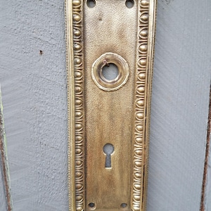 May include: A rectangular brass door plate featuring a textured central surface, a circular knob opening, and a keyhole. The plate is framed by a decorative border of repeating oval shapes and has four screw holes at the corners.