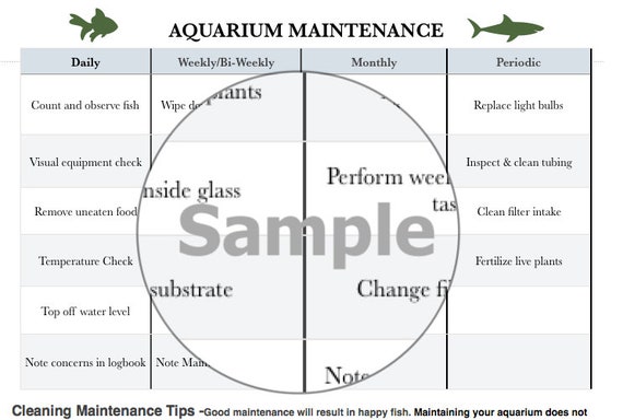 Flowerhorn Cichlid Aquarium Care Notes: Fish Keeper Maintenance Tracker  Notebook For All Your Aquarium Needs. Great For Logging Water Testing,  Water