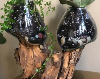 Root and Water