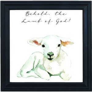 Lamb drawing - Scripture - Behold the Lamb of God