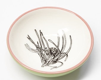 Ceramic Small Bowl - Protea Small