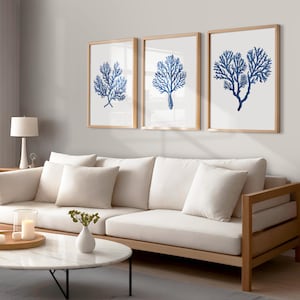 Coastal Wall Art Navy Blue Coral Set of 3 Prints - Beach House Artwork - Coastal Hamptons style Decor
