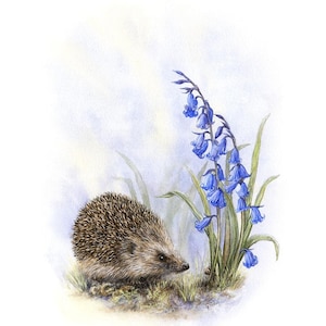 Art Print of Hedgehog & Bluebells • Woodland Animal Nursery Decor