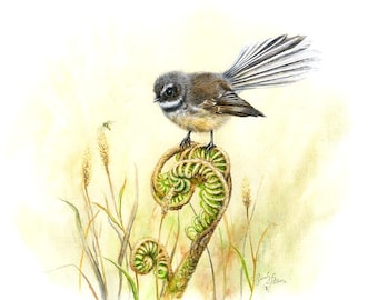 New Zealand Print of Fantail & Green NZ Fern • Piwakawaka Native Bird Wall Decor