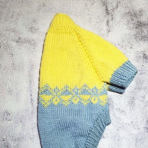 Cable Knit Dog Sweater- Small / Medium Dog Sweater - Pet Sweater-Dog Costume - Jacquard dog sweater - Handmade dog sweater