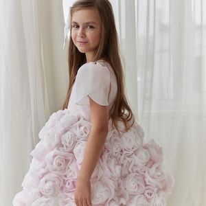 Blush Pink Birthday Girl Dress, 3D Flowers Kid’s Princess Ball Gown, Photoshoot, Cake-smashing
