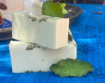 Miracle leaf soap/ spiritual soap/ made with real  Kalanchoe Pinnata plant