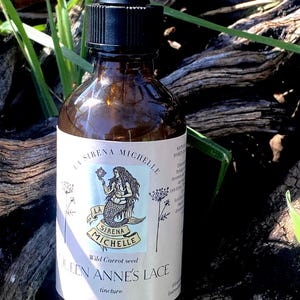 Queen Anne’s Lace potent Tincture /wild carrot seed/ wild crafted/multiple sizes