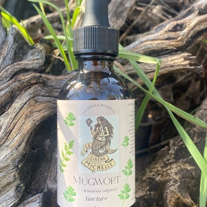 Mugwort tincture (artemisia vulgaris)
