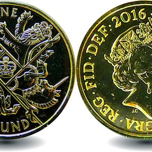 Last Round Pound Coin 2016 Uncirculated