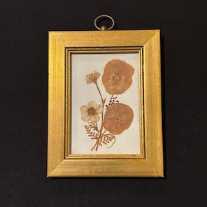 Authentic Pressed Flowers in a Decorative Gold Wood Frame