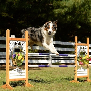 Wishing Well - Flower Basket - Kid sized horse jump - Beautiful - Switch out the flowers for different occasions - Lightweight - Quality