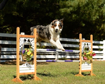 Kids Horse Jump: Cedar Wood Wishing Well Flower Basket