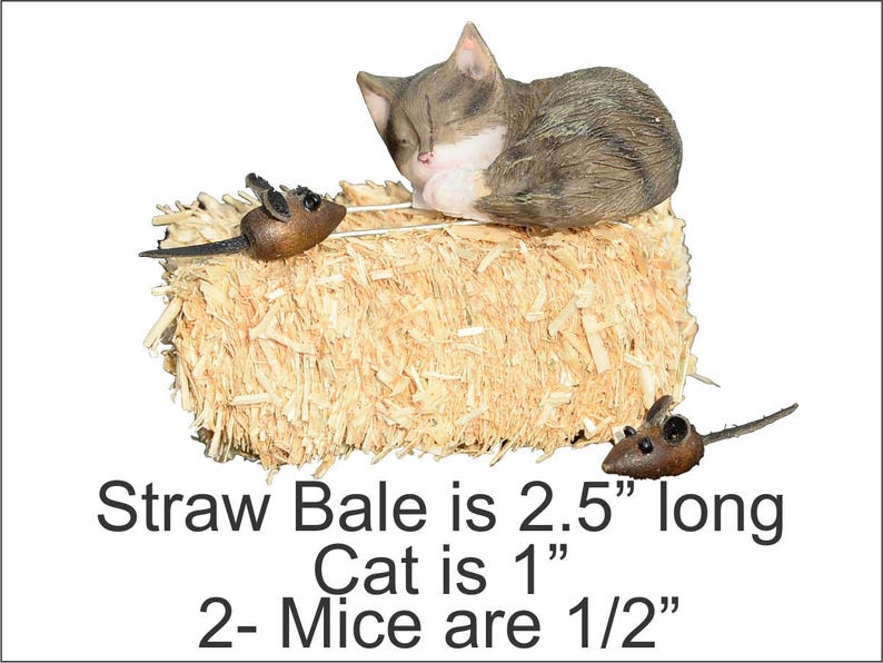 Sleeping Barn Cat Straw Bale Mice Etsy