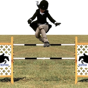 Custom - Personalize Kid size horse jump - Hobby Horse Jump - Realistic - Quality Constructed - Portable - Indoor and Outdoor