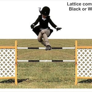 Horse Jump for kids - Lattice Style - Portable - Realistic - Great for indoors and outdoors - Quality Construction - Hobby Horse jump