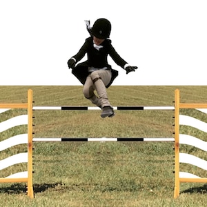 The Wave -  Kid Jump - Horseless Horse Jump - Dog Jump - Hobby Horse Fun - Lightweight - Portable - Horse Party Fun!
