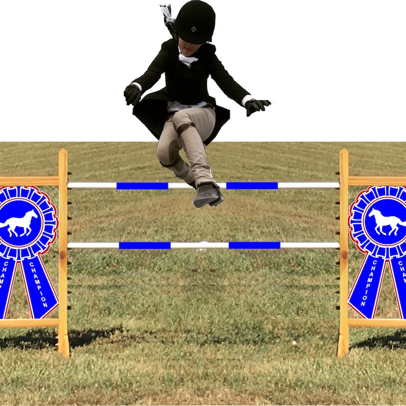 Hobby Horse Jumps Etsy