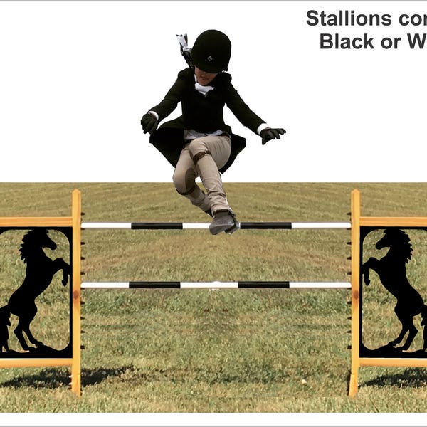 Stallion - Kid Jump - Foot Jump -  Horseless Horse Jump - Kids, Dogs, and Hobby Horses Love them! Lightweight, Portable, and Lots of Fun!