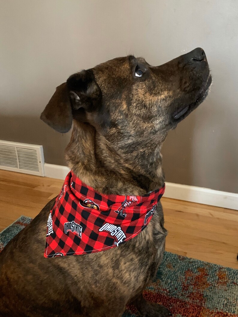 Pet Bandanas
