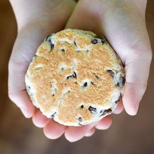 Butterscotch Pecan Welsh Cakes - Multi Pack