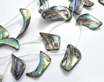 Abalone (18-25)x(28-35)mm Free Form Beads, Side Drilled, 14 Inch, Approx. 10 beads, Hole 0.8mm (101037001)