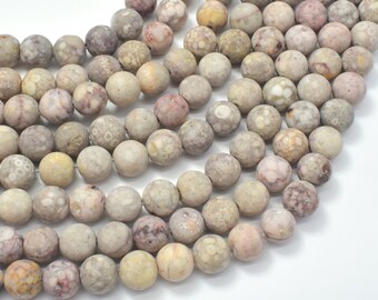 8mm Natural Crinoid Fossil Jasper 47 Round Beads 1mm Hole 8mm Natural Crinoid Fossil Jasper 47 Round Beads 1mm Hole