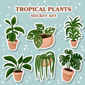 熱帯植物ステッカー、モンステラステッカー、植物ステッカー