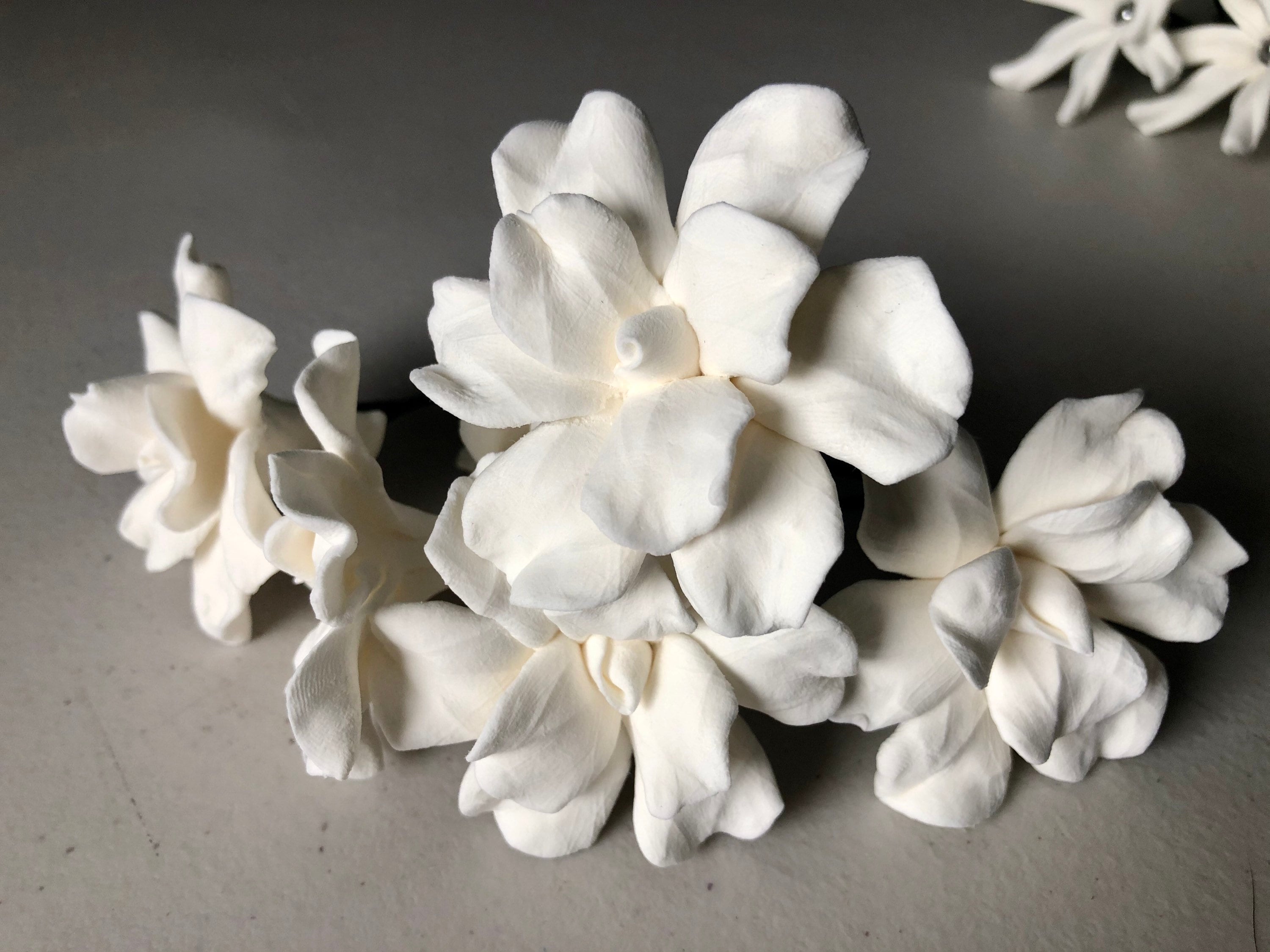 9+ Hawaii Flower Ear