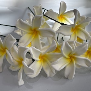 Plumeria Haar-Pick