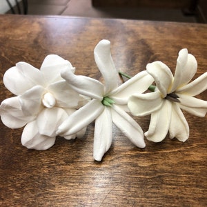 Gardenia Set