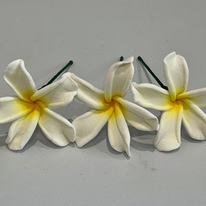Plumeria Hair Pick
