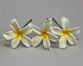 Plumeria Hair Pick