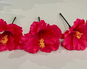 hibisco rosa