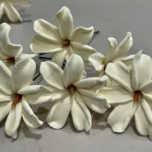 Na&#39;u Flower Hair Pick