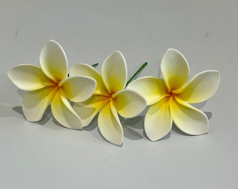 Plumeria