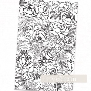 Work of Heart Collection | Vellum Blooms