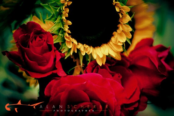 Items similar to Rose and Sunflower on Etsy