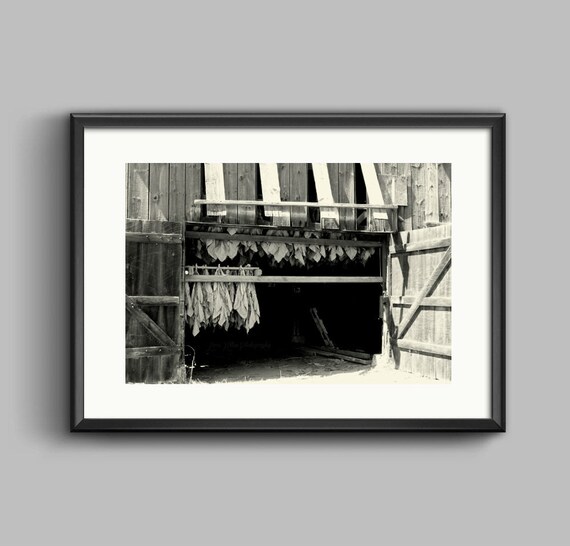 Tobacco Barn Black White Photo Man Cave Old Barn Print Etsy